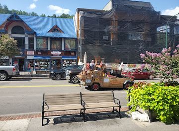 tennessee/gatlinburg/shop/glass-blowers-gatlinburg