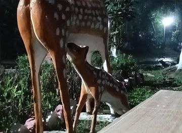 bhutan/punakha-valley/shop/dry-agro-production