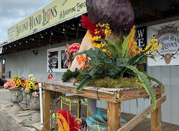 florida/stuart/shop/second-hand-lions