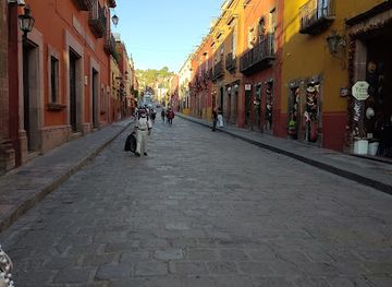 mexico/san-miguel-de-allende/centro/shop/mercado-local