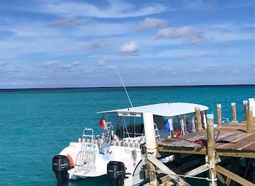 the-bahamas/san-salvador-island/shop/only-blue-diving-dreams