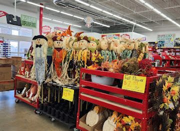 missouri/poplar-bluff/shop/ollie-s-bargain-outlet