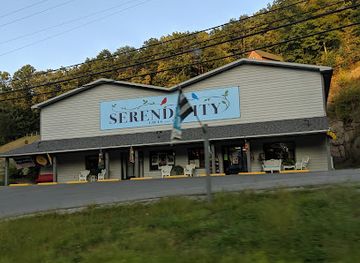 west-virginia/elkins/shop/serendipity-gifts-toys