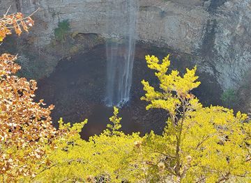 tennessee/fall-creek-falls-state-park/shop/coon-creek-falls