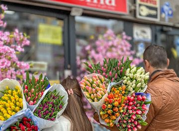 montenegro/niksic-field/shop/cvjecara-kristina