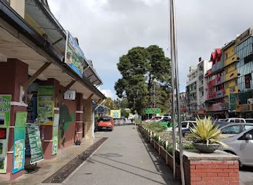 malaysia/cameron-highlands/shop/yung-seng-gift-shop