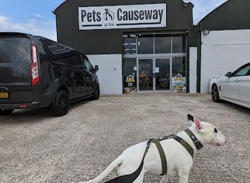 united-kingdom/giant's-causeway/shop/pets-at-the-causeway