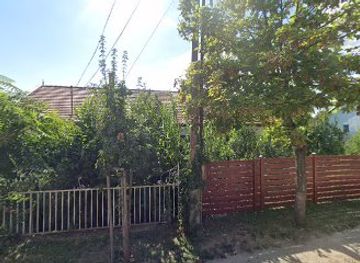 hungary/balaton-uplands-national-park/shop/bari-ko-antik-kft