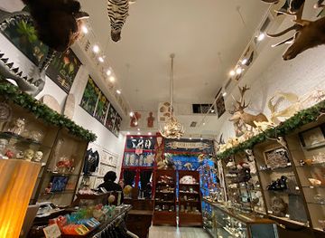 new-york/new-york-city/shop/the-evolution-store