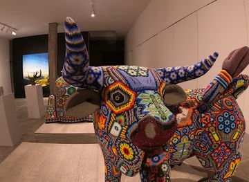 mexico/huichol-sierra/shop/arte-huichol-huichol-art