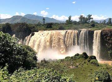 ethiopia/danakil-depression/shop/dreamland-ethiopia-tours-and-car-rent