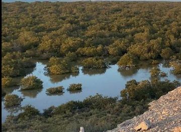 qatar/al-thakira-mangroves/shop/mangroves-view-hill-camp-site