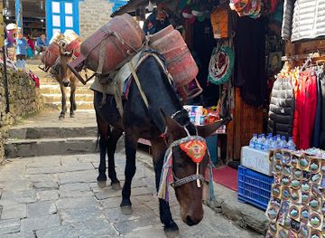 nepal/everest-base-camp/shop/everest-base-camp-trek