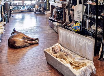 maryland/gunpowder-falls-state-park/shop/bazaar