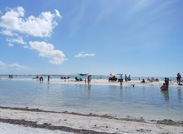 florida/honeymoon-island-state-park/shop/honeymoon-island-state-park-pet-beach