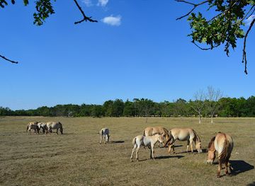 hungary/hortobagy-national-park/shop/hortobagy-wild-animal-park