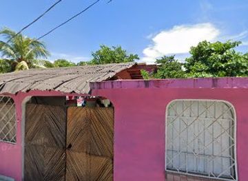 mexico/sierra-madre-del-sur/shop/venta-de-mango-coco-carambola-y-aretes-articulos-juanita