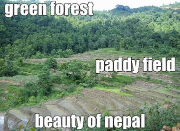 nepal/gorkha/shop/aayush-thapa