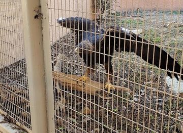 new-mexico/carlsbad/shop/carlsbad-horitculture-society