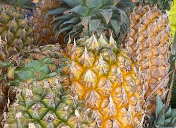 maldives/dhigurah/shop/niru-dhigurah