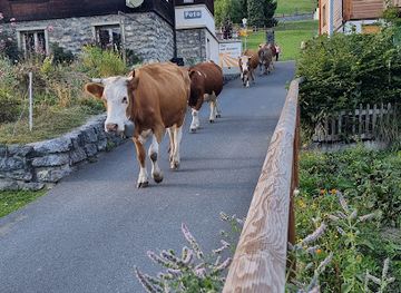 switzerland/murren/shop/mueralp-ag