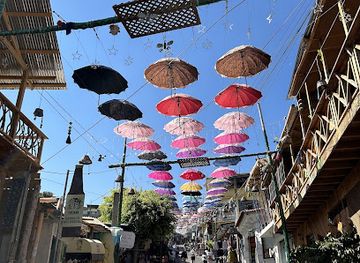 guatemala/northern-lowlands/shop/terra-guatemala