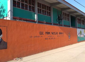 mexico/sierra-madre-del-sur/shop/bajos-del-ejido-el-rancherito