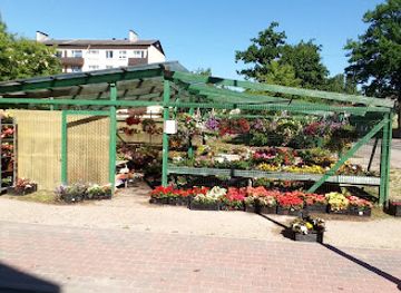 estonia/võru/shop/taimela-ou