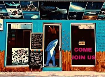 maldives/guraidhoo/shop/bubbles-excursion-guraidhoo