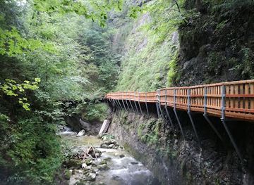 austria/eisenwurzen/shop/geodorf-gams
