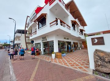 ecuador/galapagos-islands/shop/patas-azules-socks