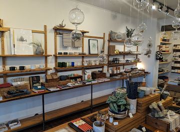 massachusetts/pioneer-valley/shop/kestrel