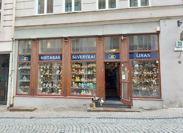 lithuania/vilnius/shop/amber-souvenirs