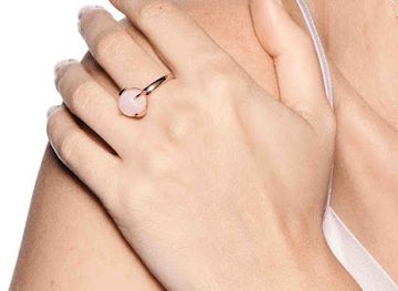 algeria/algiers/shop/skon-shop