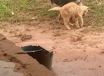 guinea-bissau/bolama-region/shop/mercado-de-caju