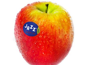 fiji/labasa/shop/turners-growers-fiji-limited