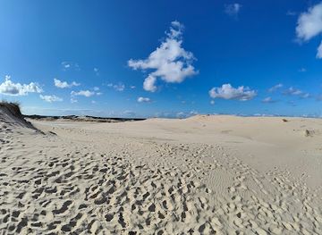 poland/słowiński-national-park/shop/wydmy-przy-plazy-w-slowinskim-parku-narodowym