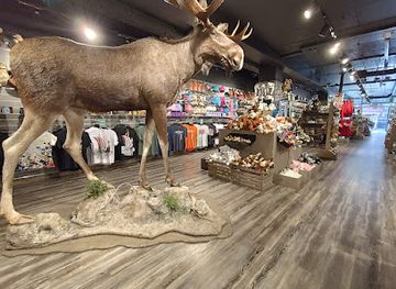 norway/northern-norway/shop/sami-shop