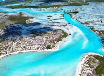 the-bahamas/andros-island/shop/west-side-national-park