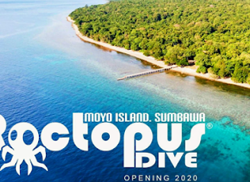 indonesia/pulau-moyo/shop/roctopus-moyo-dive-center