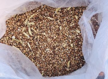 senegal/kaffrine/shop/agrifood