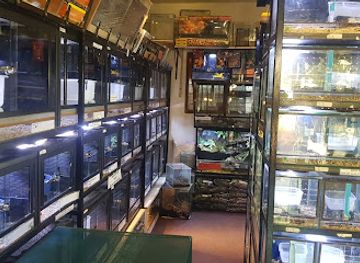 south-africa/free-state/shop/spitskop-reptiles