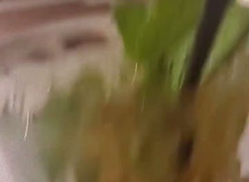 curacao/jan-thiel/shop/bijblauw-concept-store-jan-thiel