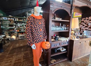 arizona/tucson/shop/woolly-fern