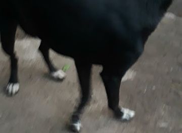 honduras/colon-region/shop/mini-market-8a-s