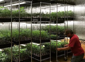 oklahoma/eufaula-lake/shop/hanna-homegrown