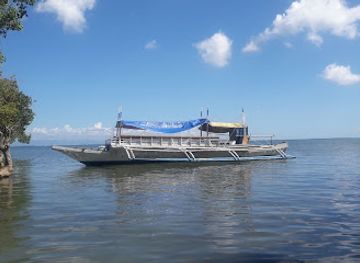 philippines/bohol/shop/bohol-online-store