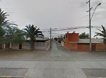 chile/arica-and-parinacota-region/shop/cocoa-store-arica