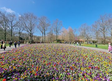 Keukenhof