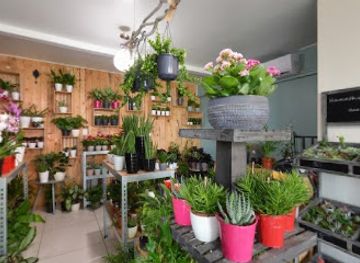 sint-maarten/simpson-bay/shop/mooi